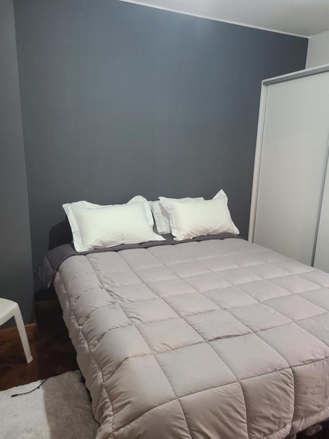 Departamento Centrico, Pasos Peatonal Apartment